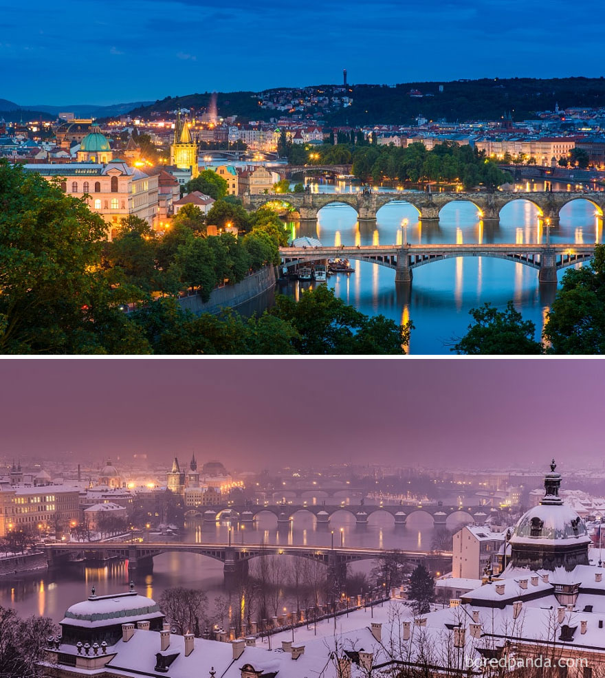 Foto di laphon pinta, Tomas Chaloupka, via Bored Panda