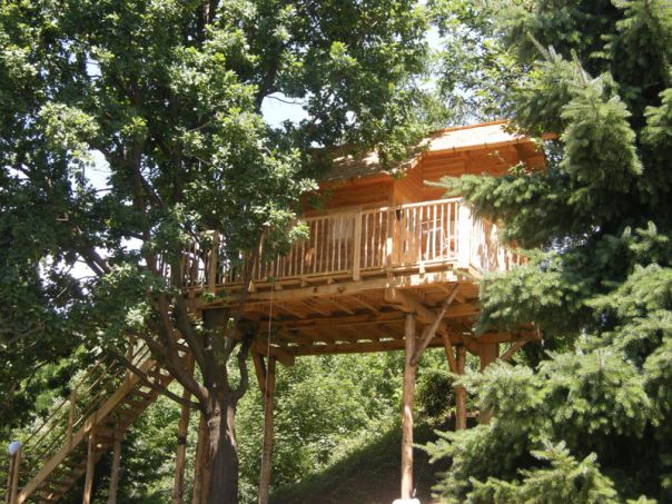 Una spettacolare casa sull'albero che dà su un giardino e sulla pianura da cui si vedono le Langhe, sospesi tra terra e cielo. Il pernottamento per due persone più colazione costa 160 €.
Visita il sito