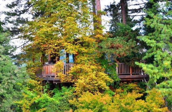 A 60 metri dall'edificio principale, la bellissima suite sull'albero che arriva fino a 10 metri d'altezza, per essere svegliati dal frinire dei grilli e dal cinguettio degli uccellini. 65 mq di relax, da 210 € a notte.
Visita il sito