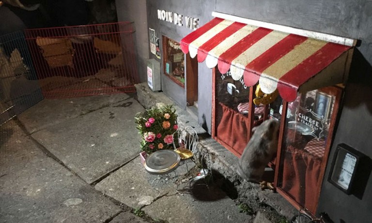 I negozietti per topi in Svezia