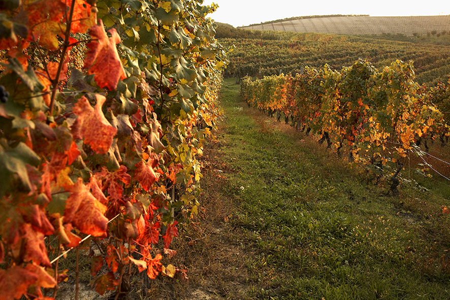 Foto di Carlo Avataneo