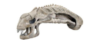 Xenomorfo