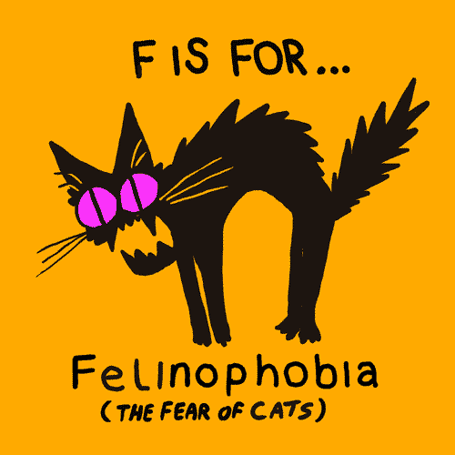 F: Felinofobia, la paura dei gatti
