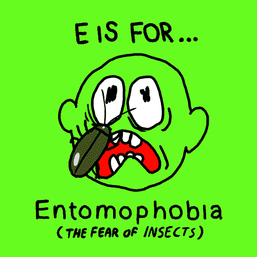 E: Entofobia, la paura degli insetti