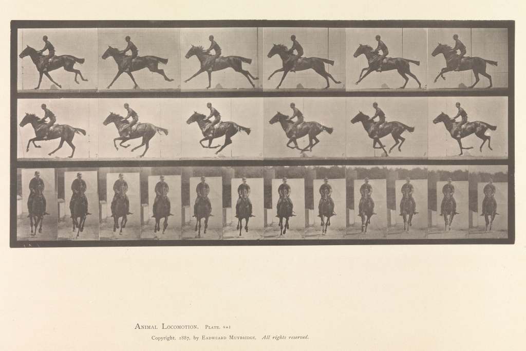 Horse and Rider Galloping. 1883–8. Eadweard Muybridge/Metropolitan Museum of Art