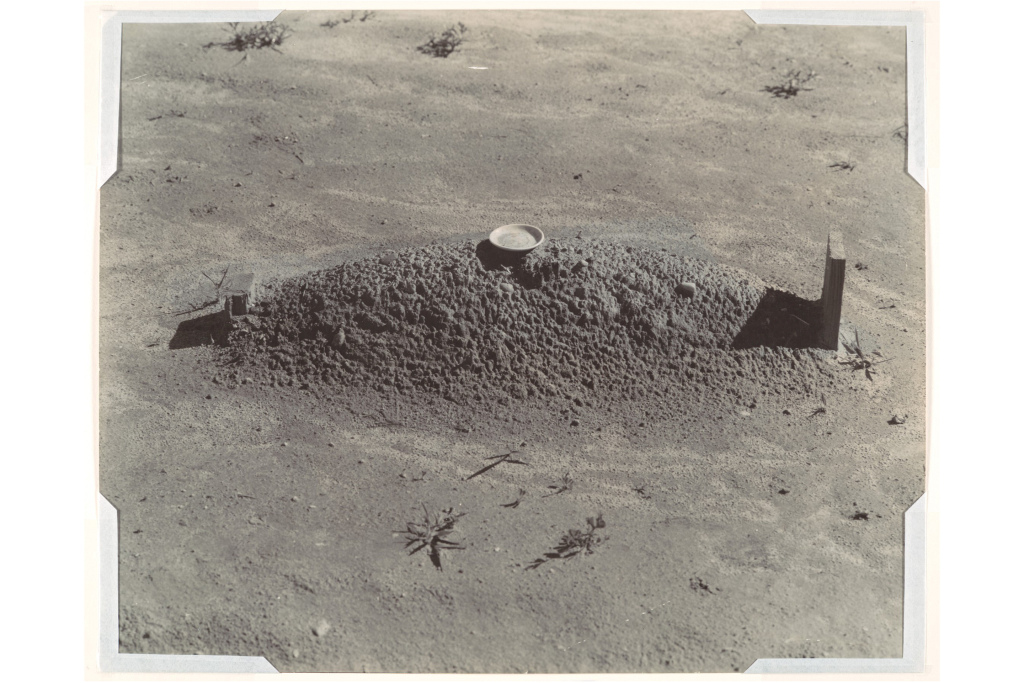 Grave. 1936. Walker Evans
