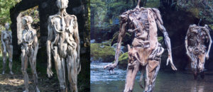 Driftwoodz