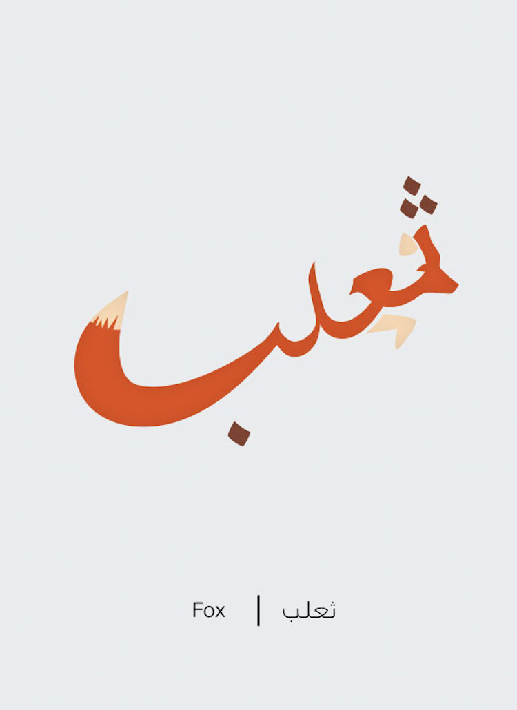 Volpe © Mahmoud Tammam
