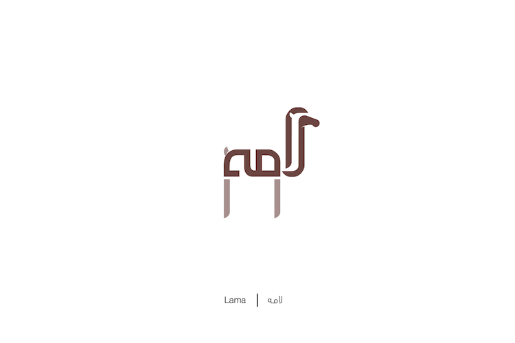 Lama © Mahmoud Tammam