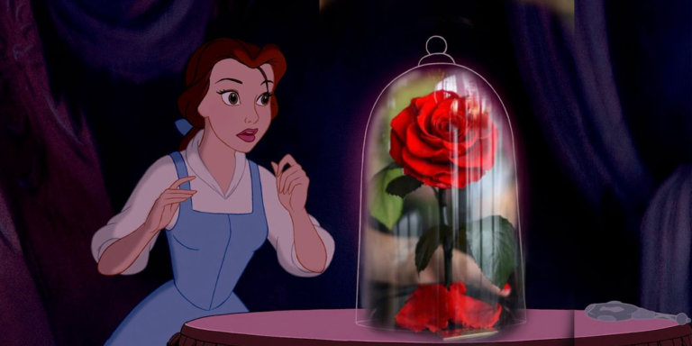 La rosa incantata de La Bella e la Bestia esiste e vive 3 anni senza acqua né luce del sole