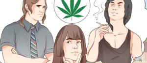 Erba
