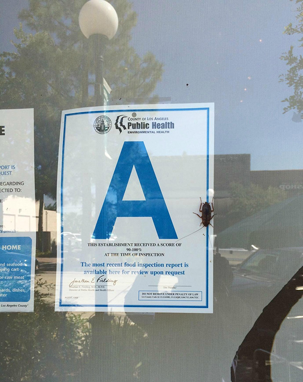 Questo ristorante è in prima categoria per quanto riguarda l'igiene. EEK!
