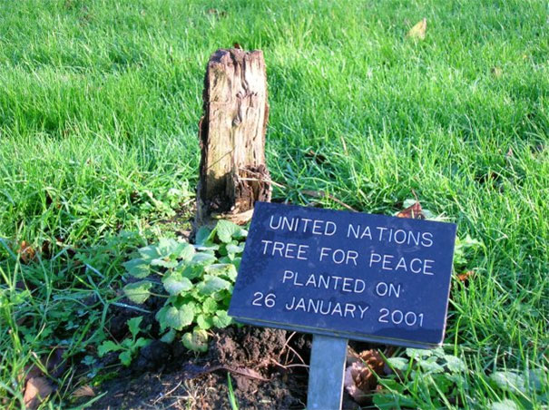 Ah che bello l'albero della pace delle Nazioni Unite...