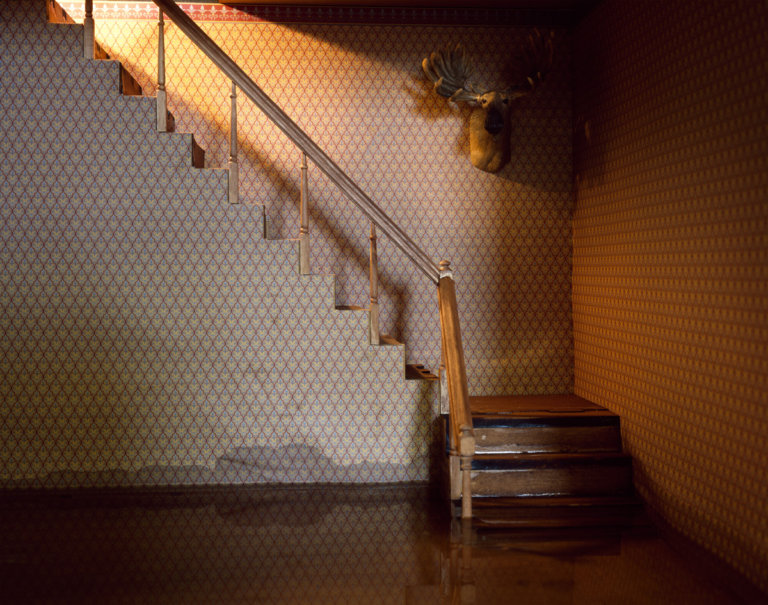 TheFloodedRoom