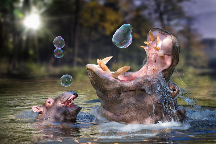 Foto © John Wilhelm