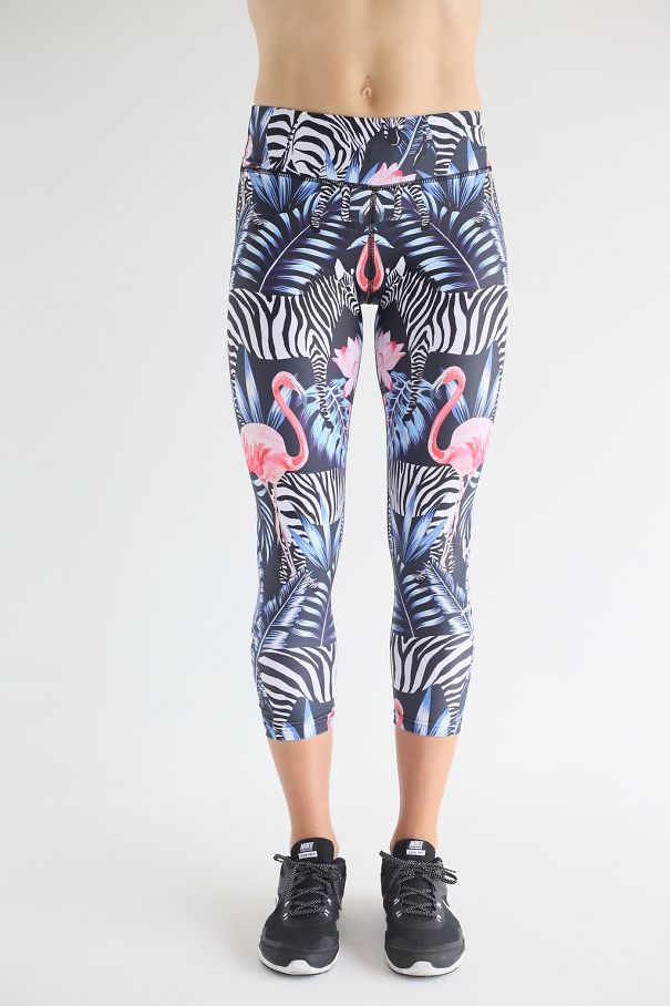 Due fenicotteri rosa che incontrandosi fanno una vagina.