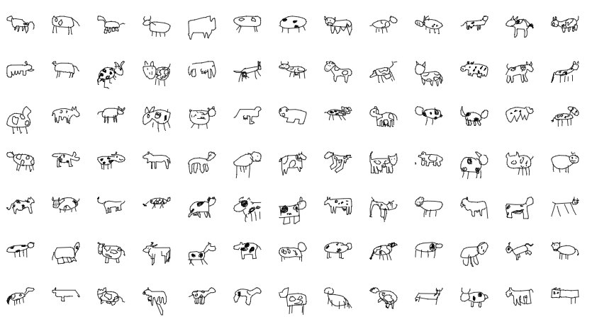 Mucca