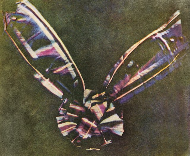 Il fisico James Clerck Maxwell è stato il primo a scattare una foto a colori, nel 1855. Maxwell ha sviluppato una tecnica in tre colori, con cui ha fotografato un fiocco colorato.