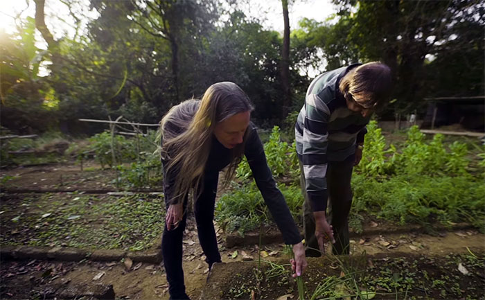 Da quella data, i due hanno iniziato a ripiantare gli alberi e a espandere il santuario.
Foto © Great Big Story