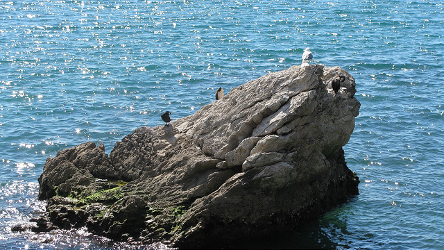 Miramare foto di boldray VIA Flickr