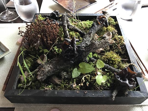 Non dovrebbe stare nel Presepe questa composizione?