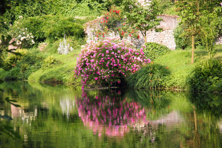 Il Giardino di Ninfa