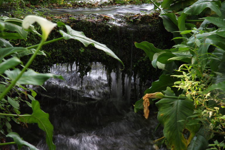 Il Giardino di Ninfa