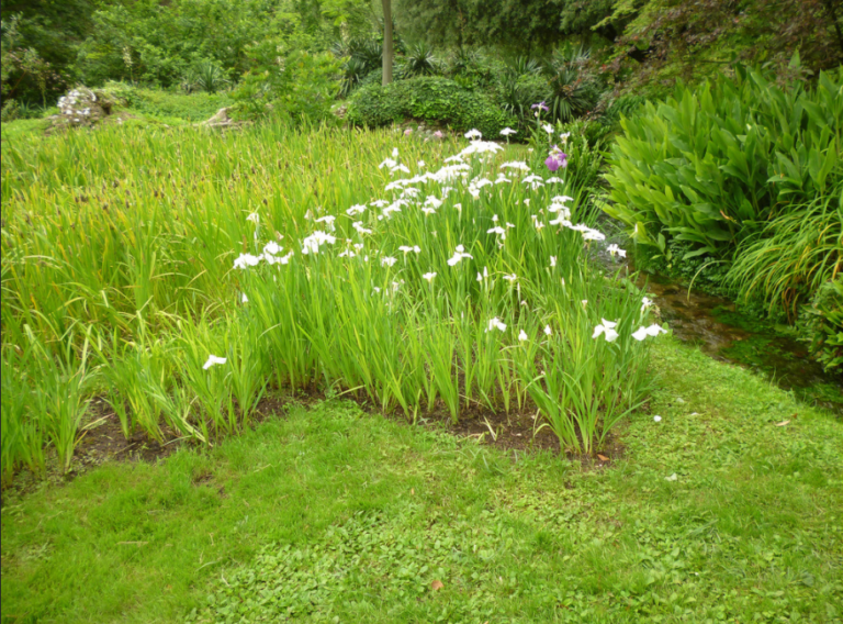 Il Giardino di Ninfa