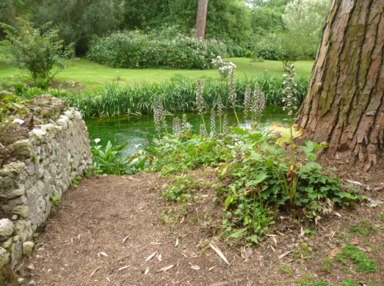 Il Giardino di Ninfa