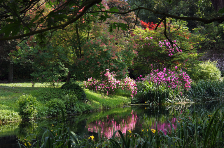 Il Giardino di Ninfa