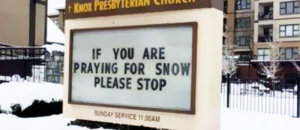 Snows