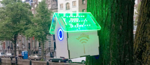 Wifis