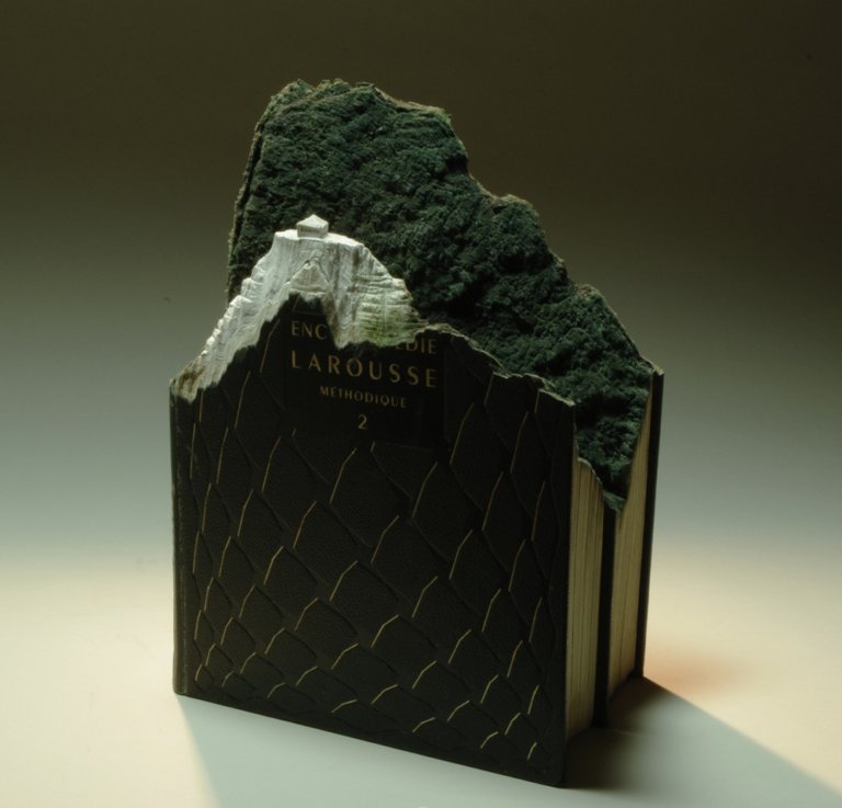 I libri scavati di Guy Larameé