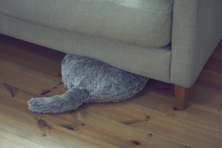 Qoobo, il gatto robot senza testa né arti