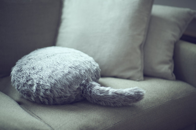 Qoobo, il gatto robot senza testa né arti