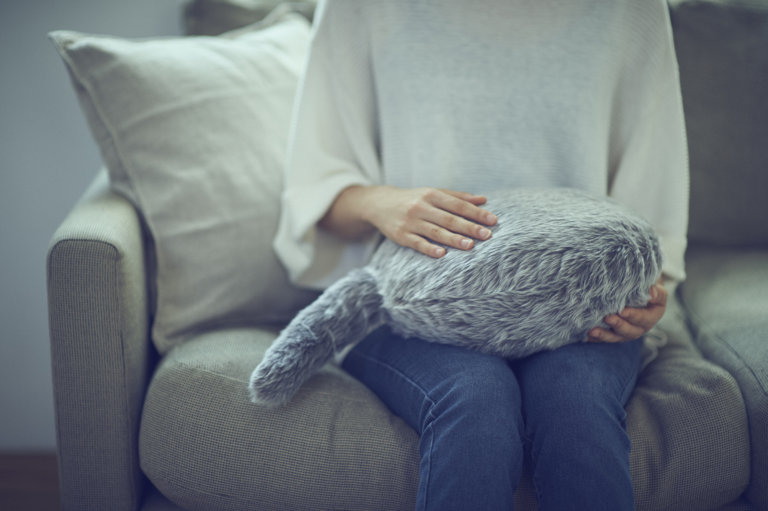 Qoobo, il gatto robot senza testa né arti