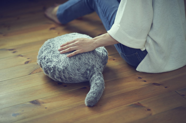 Qoobo, il gatto robot senza testa né arti