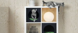 Gatti cani ikea