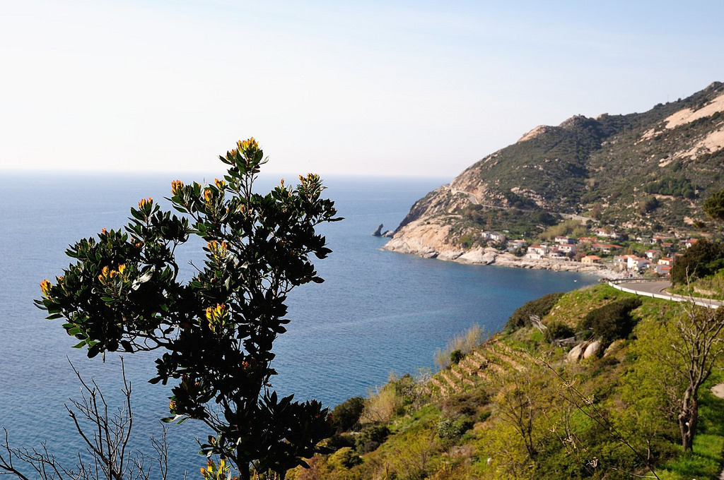 Foto di Guido Andolfato via