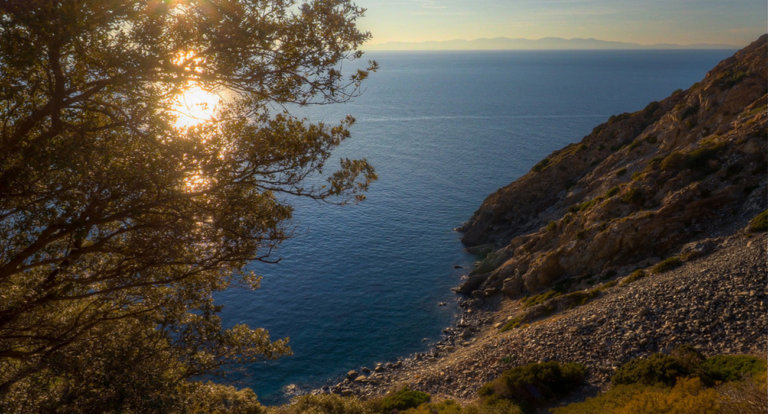 L’Isola D’Elba è la meta perfetta per le vacanze