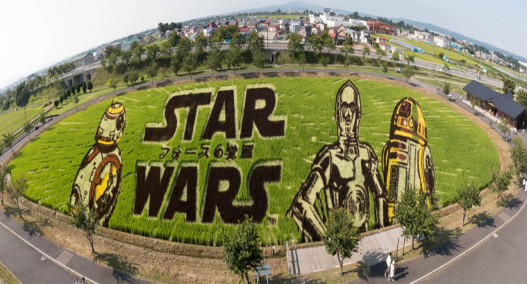In questo villaggio del Giappone le risaie sono diventate opere d’arte