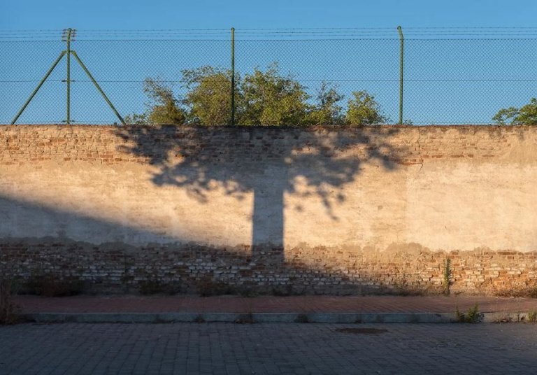 20 foto che la coincidenza ha reso magiche