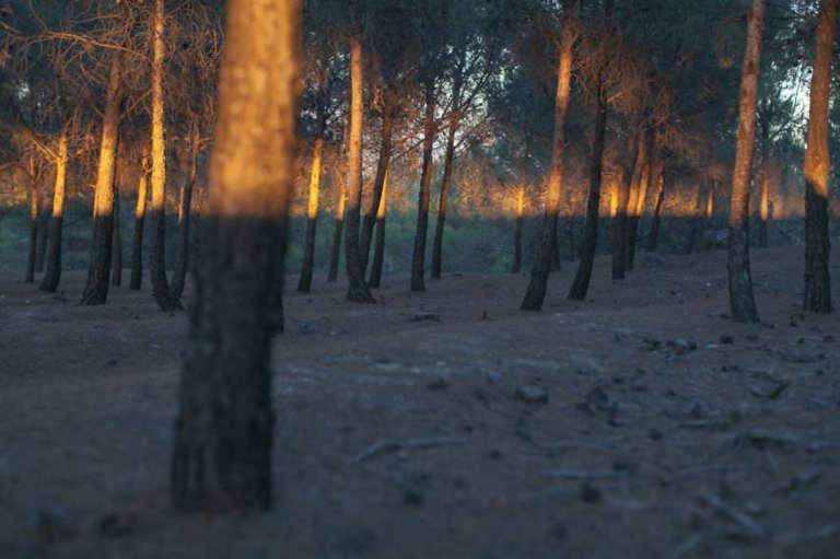 20 foto che la coincidenza ha reso magiche
