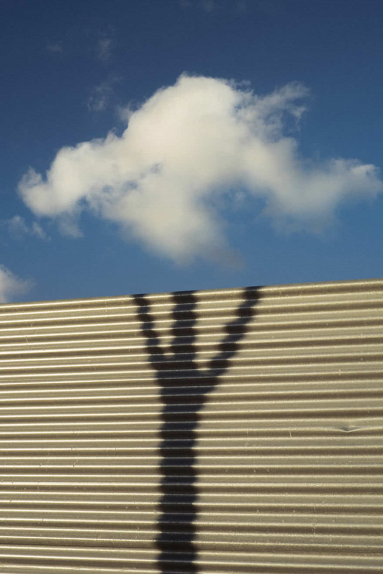 20 foto che la coincidenza ha reso magiche