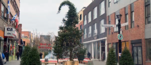 Natale montreal