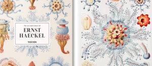 Ernst haeckel