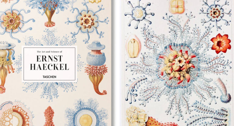 I microbi sono bellissimi in queste illustrazioni del 19° secolo