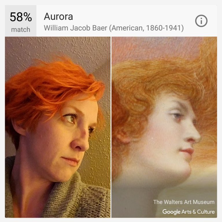 app sosia quadro 6