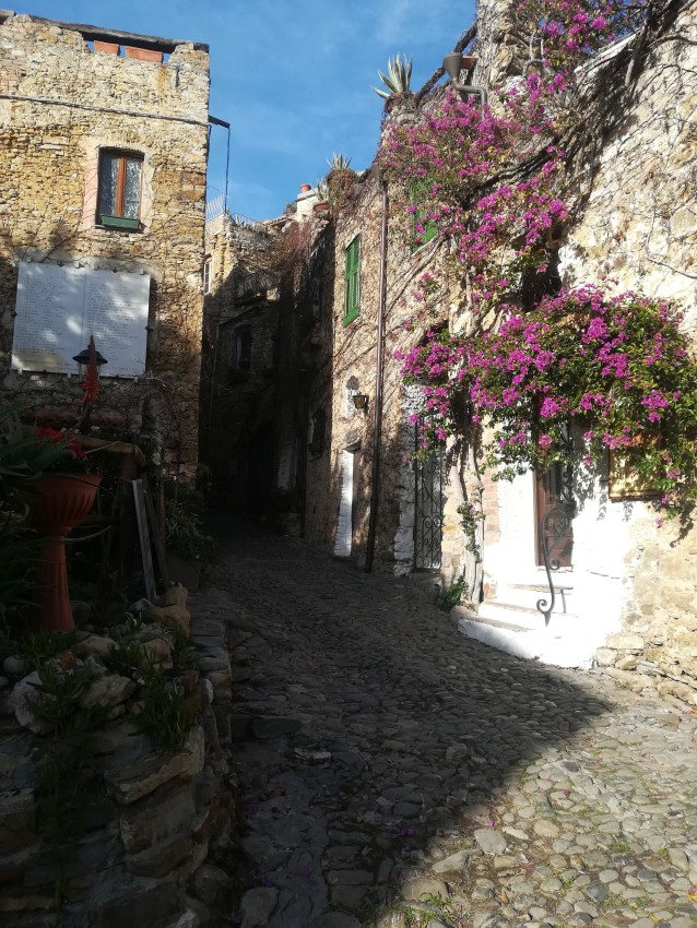 Bouganville fiorita, Bussana Vecchia