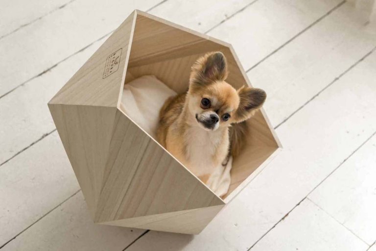 Le cucce di design giapponese che rendono felici i vostri cani e gatti